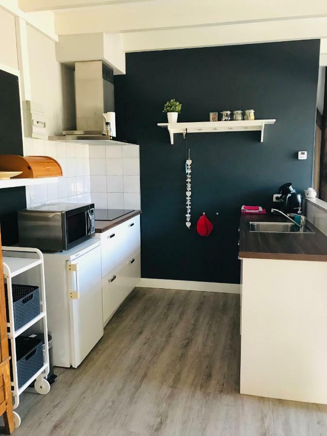 Het Achterhuis - Buitenplaats Ruitenveen, Prive! Nieuwleusen Ngoại thất bức ảnh